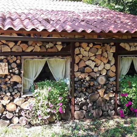 Dobrova Appartment Bezenica מראה חיצוני תמונה