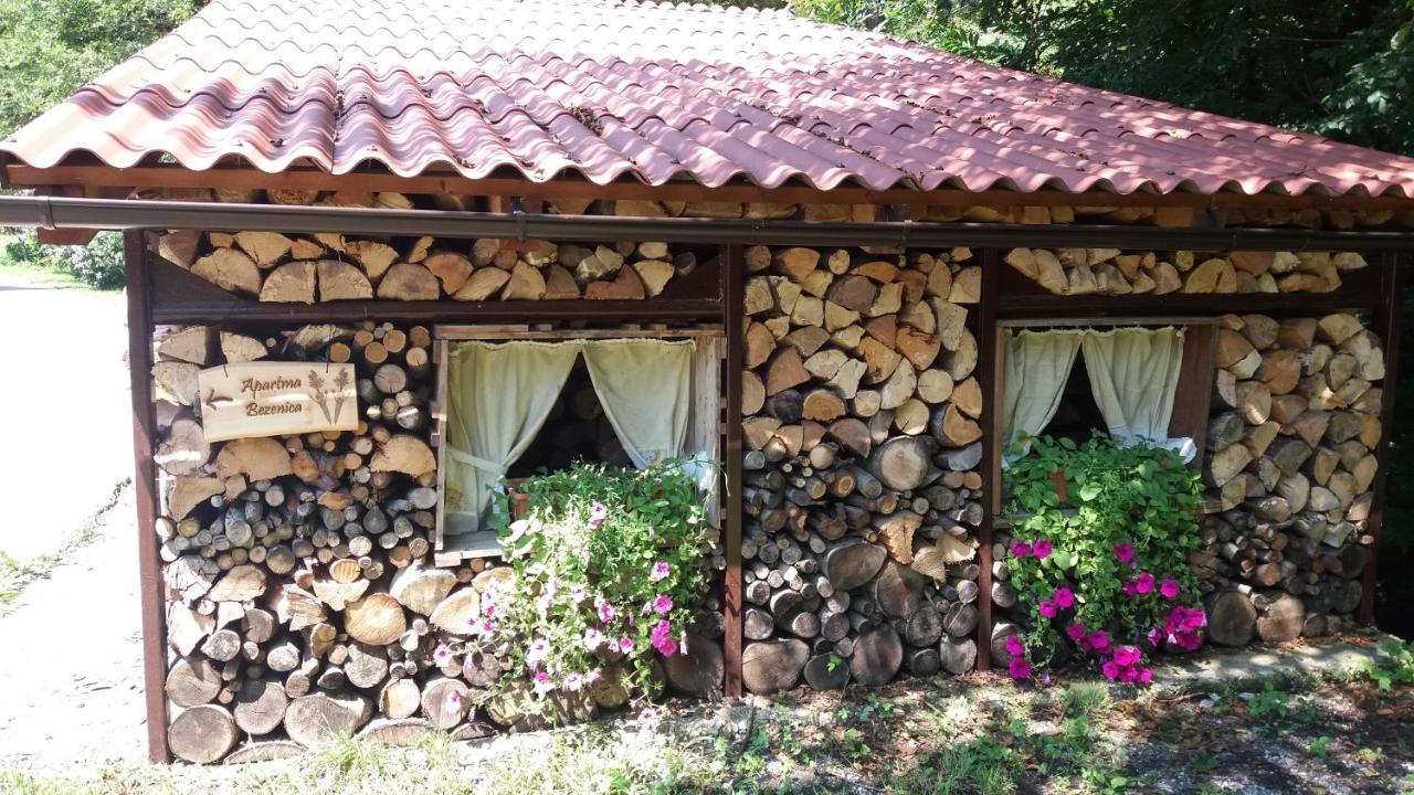 Dobrova Appartment Bezenica מראה חיצוני תמונה